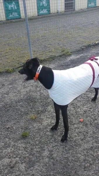 10994457 784580098292514 2486322862798595445 n