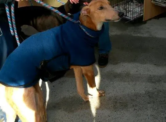 10994789 10204803756831573 577026738 n