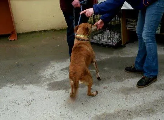 10994795 10204803846593817 1643870518 n