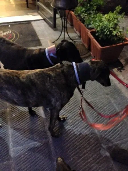 10996043 10204827363896315 189136060149154103 n