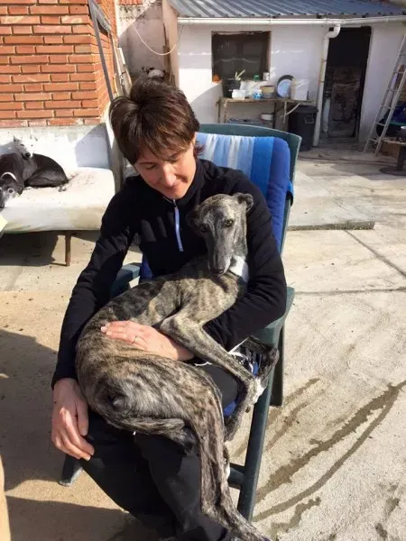 10996083 909051539178702 1827903111072900681 n