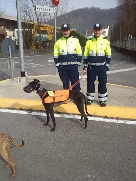 10996497 786101568125162 2194098694884681656 n