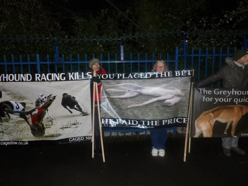 10996557 904662249578588 4513554277898544135 n