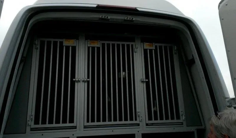 10996765 785502754866915 3286270408176731968 n