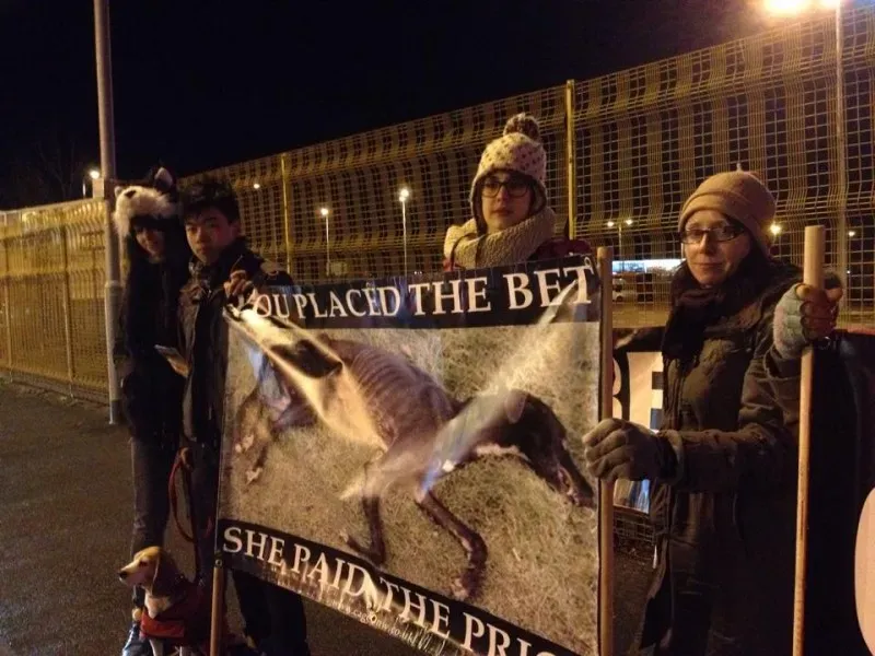 10996771 904522276259252 5089687763043867130 n