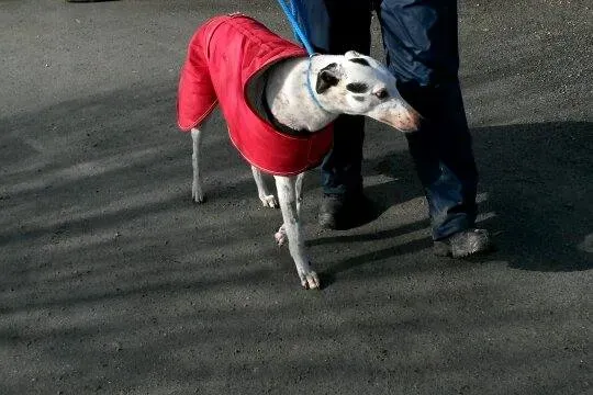 10997149 10204803545226283 963840125 n