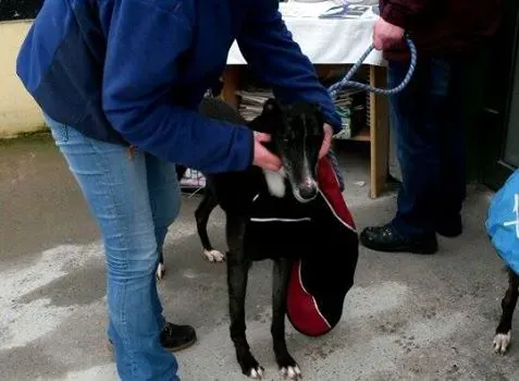 10997249 10204803723670744 797504167 n