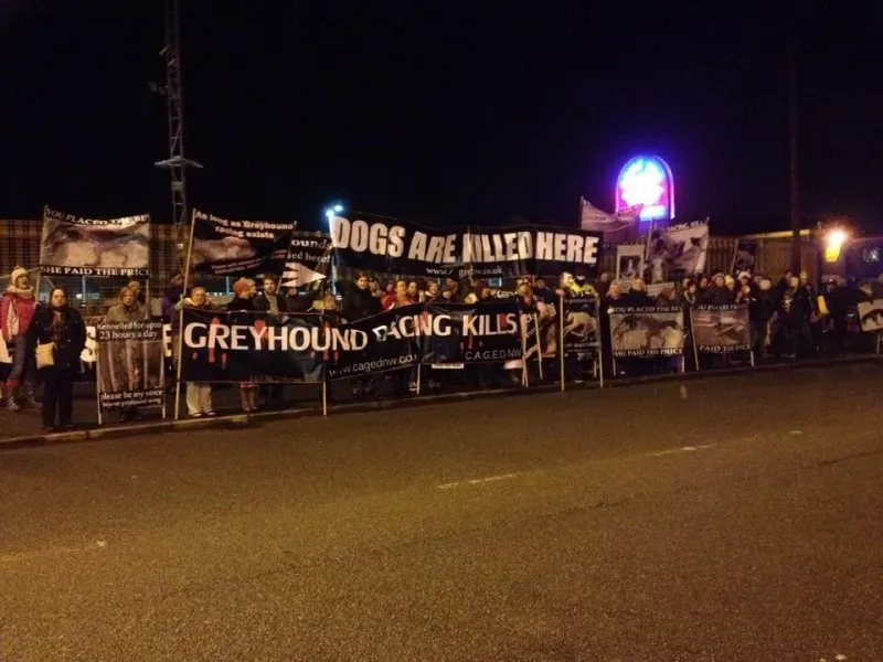 10997716 904552859589527 4137877237785574907 n