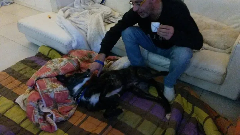 10998101 880066918680357 217664236 o