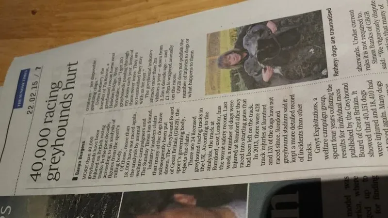 11000053 716921531738976 8510079315008511521 n