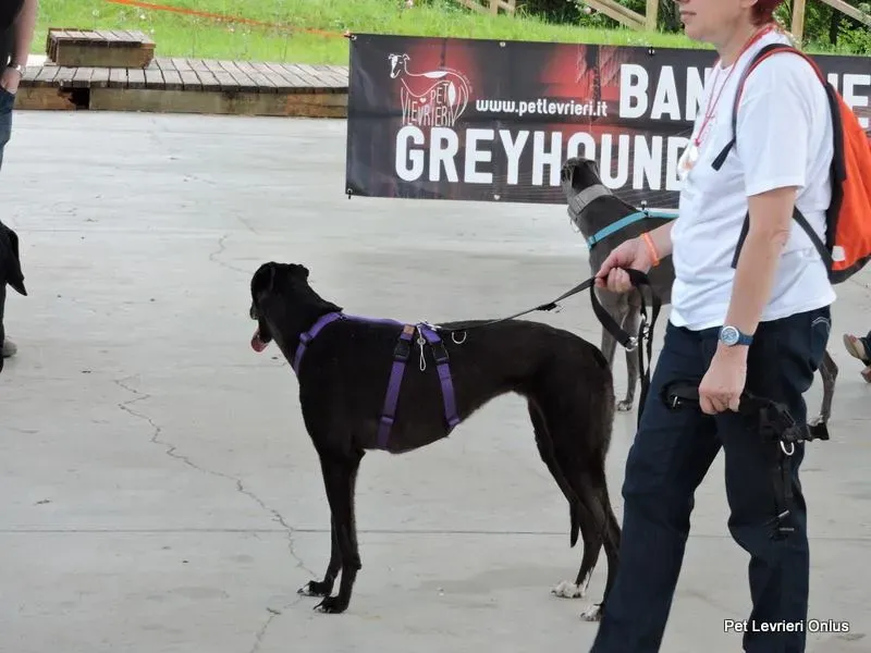 11000517 835110533239470 4746135827563470526 n 1