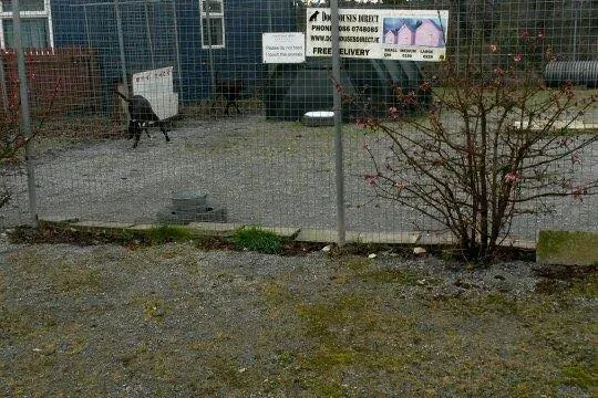 11001777 785489104868280 7736680090545607520 n