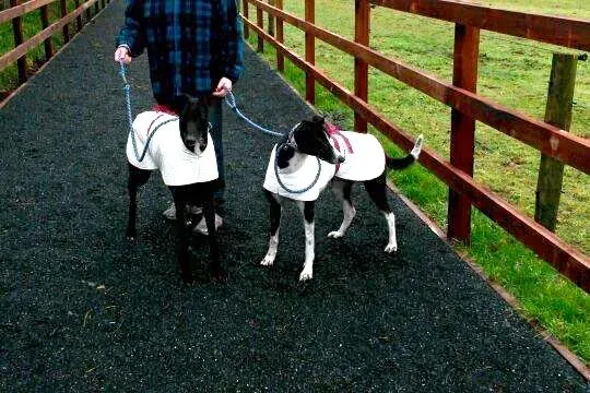 11003959 10204810182752217 1589659292 n