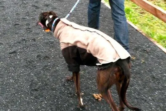 11004016 10204810222633214 1357774418 n