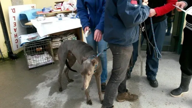 11004022 10204803628068354 1302461971 n