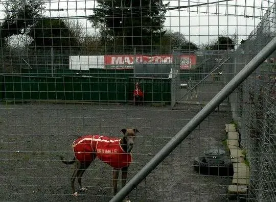 11004055 10204810004467760 285302589 n