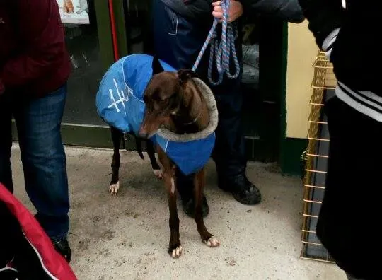 11004076 10204803724750771 368722502 n