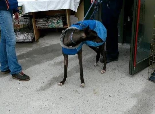 11004093 10204803744631268 592661737 n