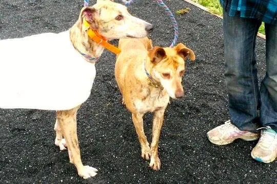 11004152 10204810288714866 1627981377 n