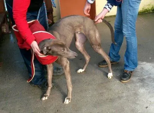 11004160 10204803666789322 162423973 n