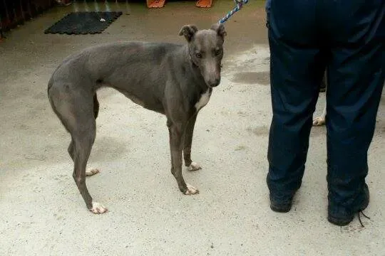 11004255 10204803844873774 557205623 n