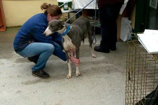 11004408 10204803844753771 121684438 n