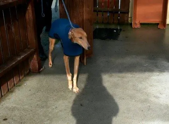 11004447 10204803749391387 1912910039 n