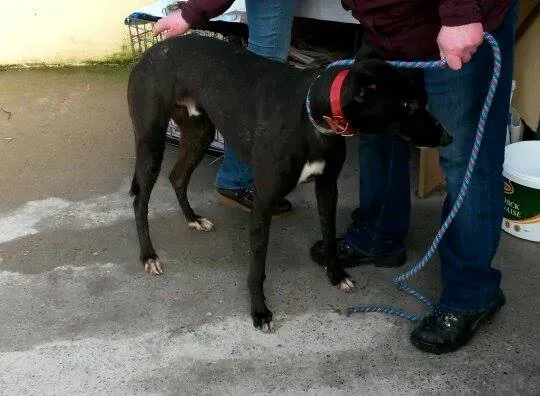 11004665 10204803653628993 2134565949 n