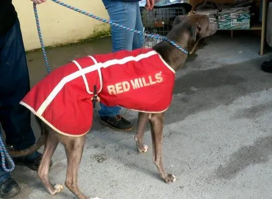 11004716 10204803661469189 1001991121 n