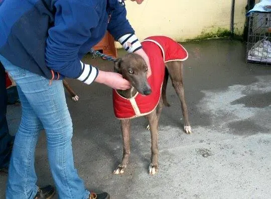 11004784 10204803663549241 1287583499 n