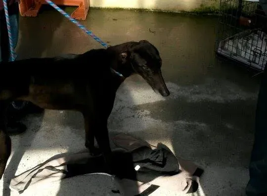 11004847 10204803759111630 1258240062 n