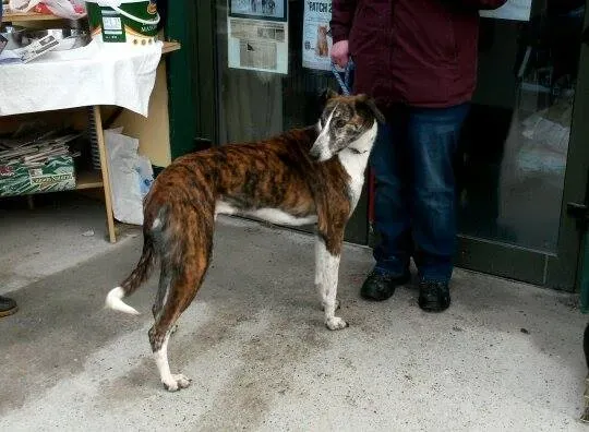 11004899 10204803746711320 2035524606 n 2