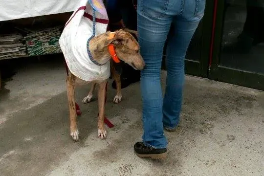 11004908 10204803891074929 2112799515 n