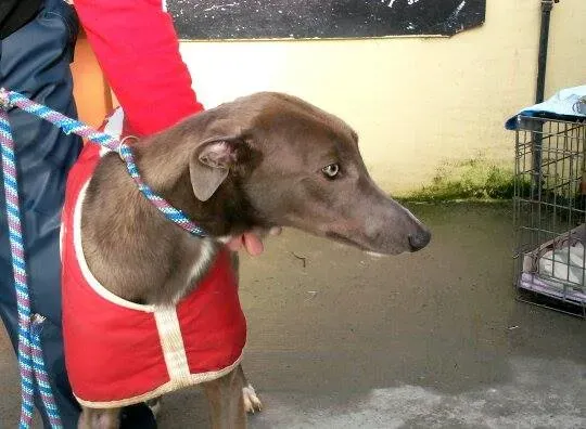 11004957 10204803674589517 178773576 n