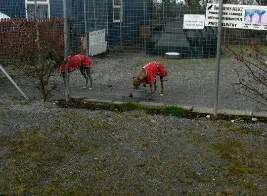 11005530 10204803703150231 1896629570 n