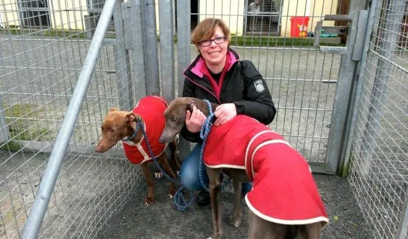 11005602 10204810029388383 1132087244 n