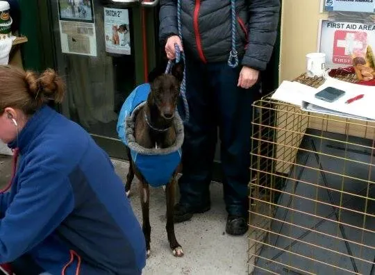 11005616 10204803726150806 967587590 n