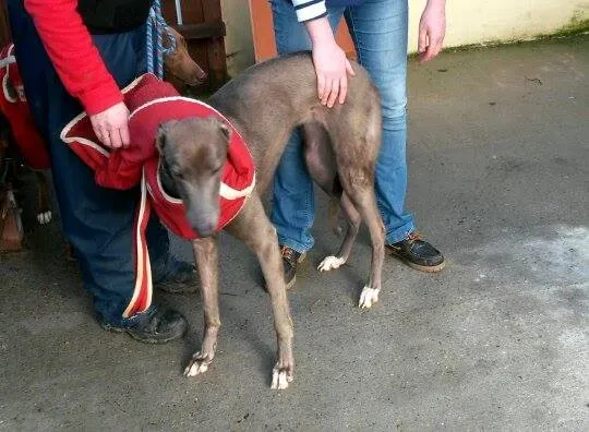 11005690 10204803666909325 81490245 n