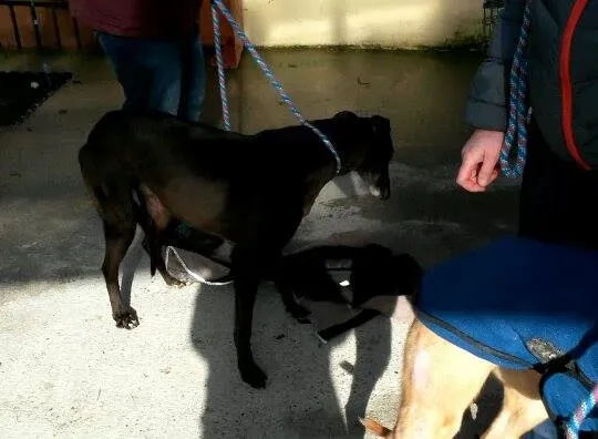 11005704 10204803758471614 1782416628 n