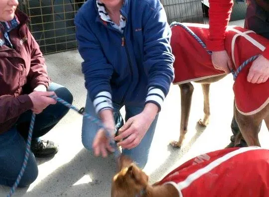 11005714 10204803670789422 822425296 n