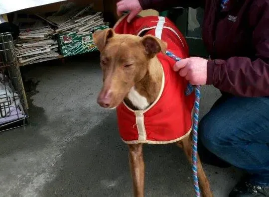 11005721 10204803681269684 1873576264 n