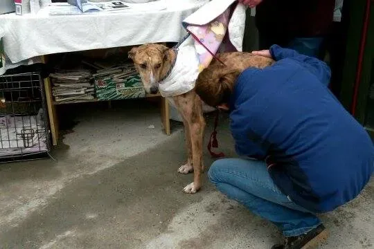 11005775 10204803890674919 860753360 n