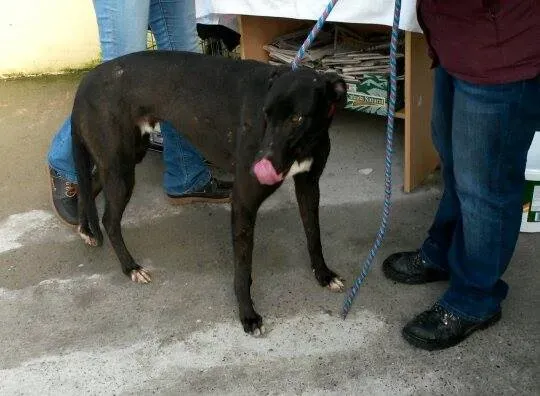 11005790 10204803653548991 1306567630 n