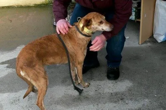 11005821 10204803544306260 1535024884 n