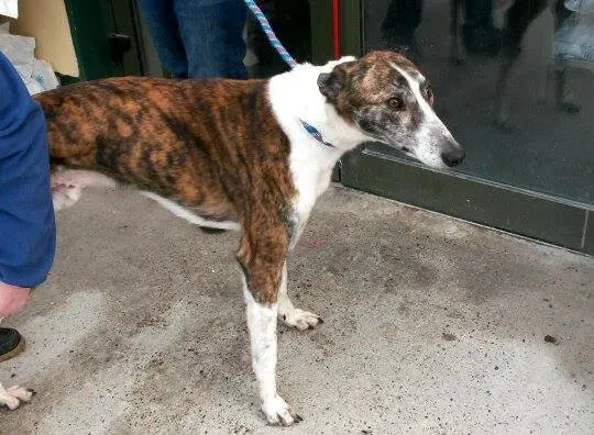 11005962 10204803745151281 1756304230 n