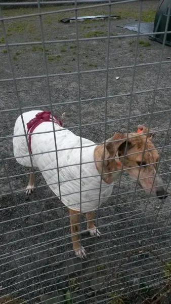 11005996 10204802951331436 474834610 n