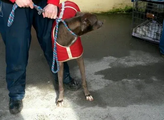 11006016 10204803673669494 1330378331 n