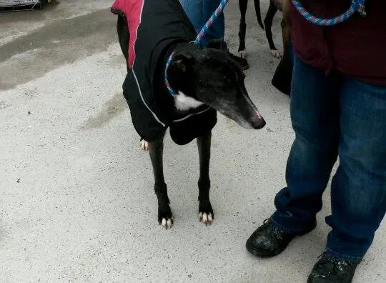 11006176 10204803732430963 1162456476 n