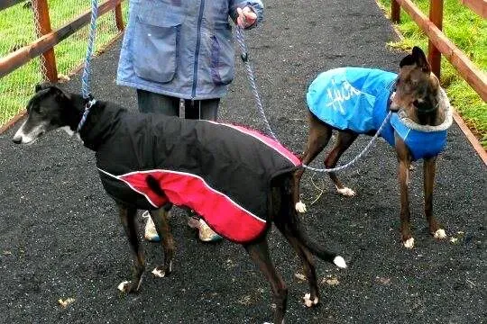 11006202 10204810116070550 753395896 n