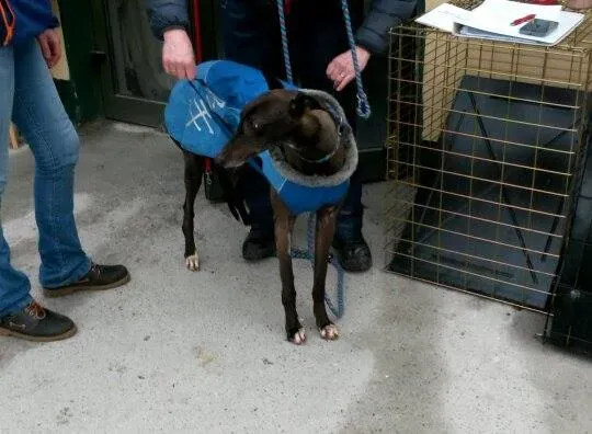 11007416 10204803735391037 56905127 n